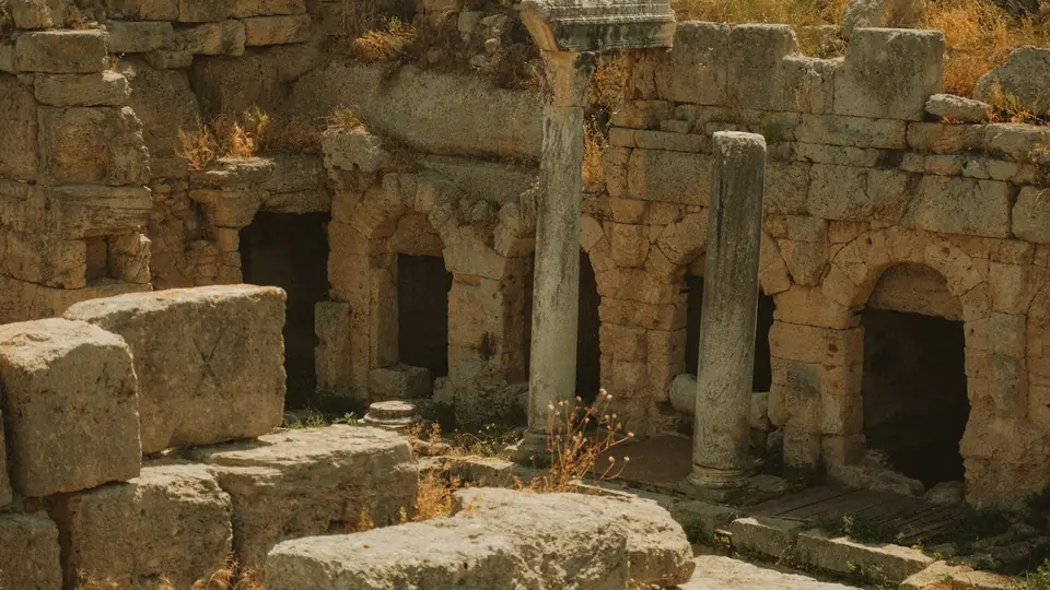 Ruins of a Roman city covered in vegetation